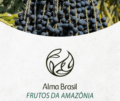 Frutos da Amazônia